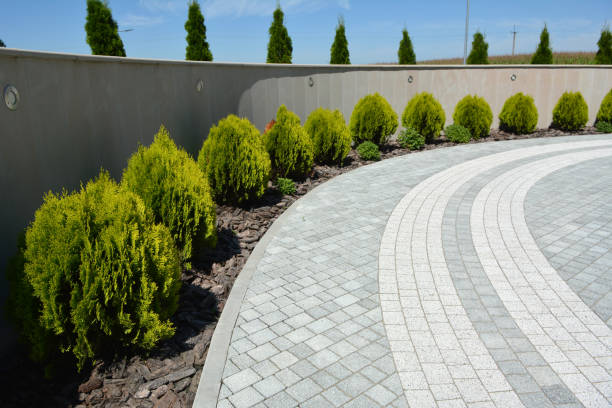 Professional Driveway Pavers in Columbine, CO